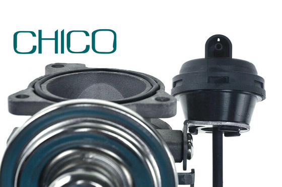 Valvola della RGS dell'automobile TS16949 per 1100628 7.03703.62.0 038131501AQ FORD PIERBURG VW PASSAT
