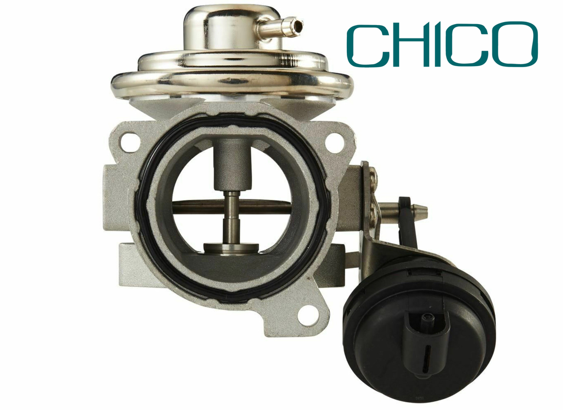 Valvola internazionale 0,66 della RGS della srl 0.66kg OPEL SAAB PIERBURG 7.24809.17.0 0849067 9128572A