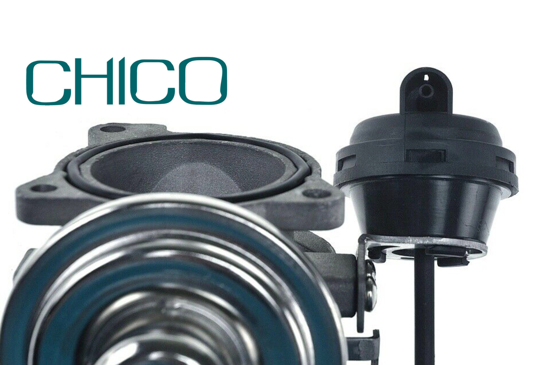 Valvola della RGS dell'automobile TS16949 per 1100628 7.03703.62.0 038131501AQ FORD PIERBURG VW PASSAT