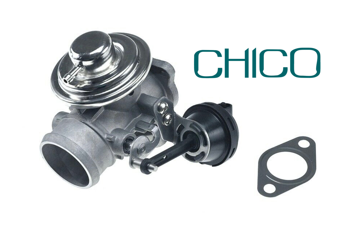 Valvola della RGS dell'automobile TS16949 per 1100628 7.03703.62.0 038131501AQ FORD PIERBURG VW PASSAT