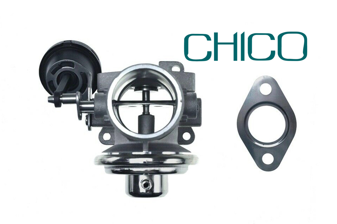 Valvola della RGS dell'automobile TS16949 per 1100628 7.03703.62.0 038131501AQ FORD PIERBURG VW PASSAT
