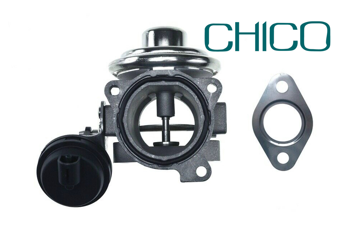 Valvola della RGS dell'automobile TS16949 per 1100628 7.03703.62.0 038131501AQ FORD PIERBURG VW PASSAT