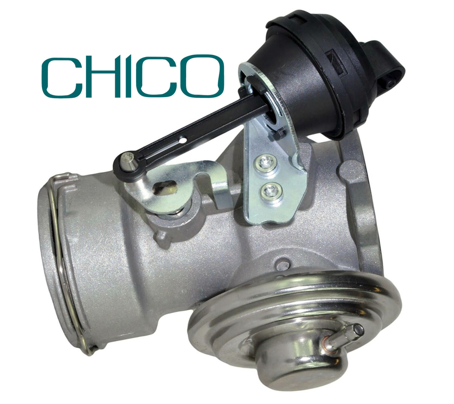 1,9 valvola della RGS dell'automobile di Tdi per il VW PIERBURG di 038131501AT 038131501T 7.24809.26.0