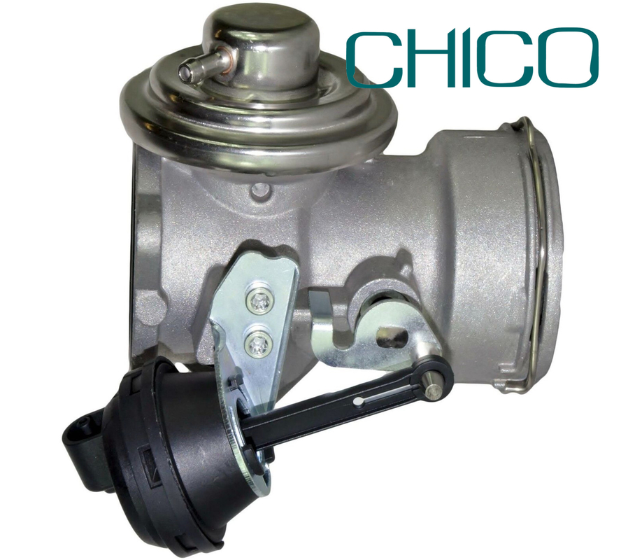 1,9 valvola della RGS dell'automobile di Tdi per il VW PIERBURG di 038131501AT 038131501T 7.24809.26.0