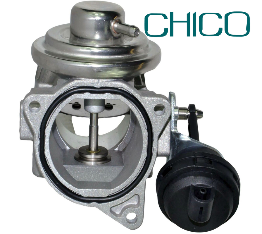 1,9 valvola della RGS dell'automobile di Tdi per il VW PIERBURG di 038131501AT 038131501T 7.24809.26.0
