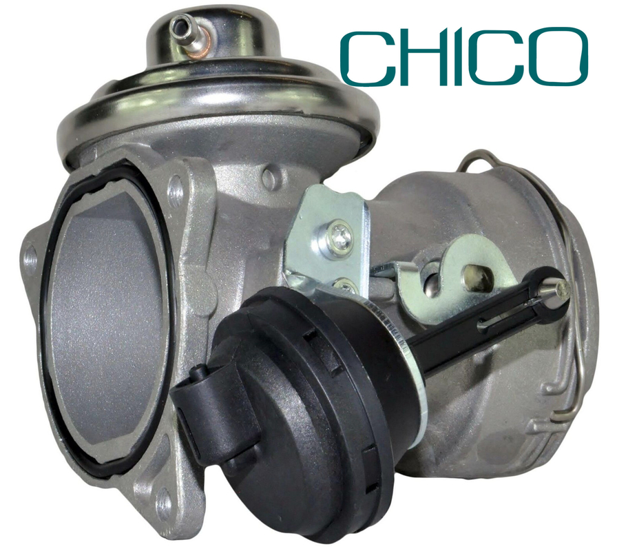 1,9 valvola della RGS dell'automobile di Tdi per il VW PIERBURG di 038131501AT 038131501T 7.24809.26.0