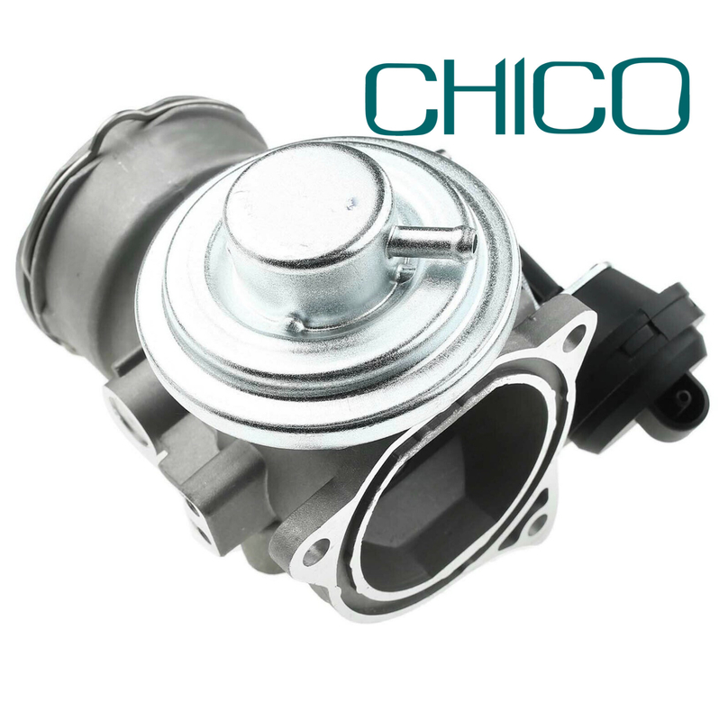 Valvola del riciclo dei gas combusti dell'OEM per PIERBURG VW Polo 7.24809.55.0 038131501AB